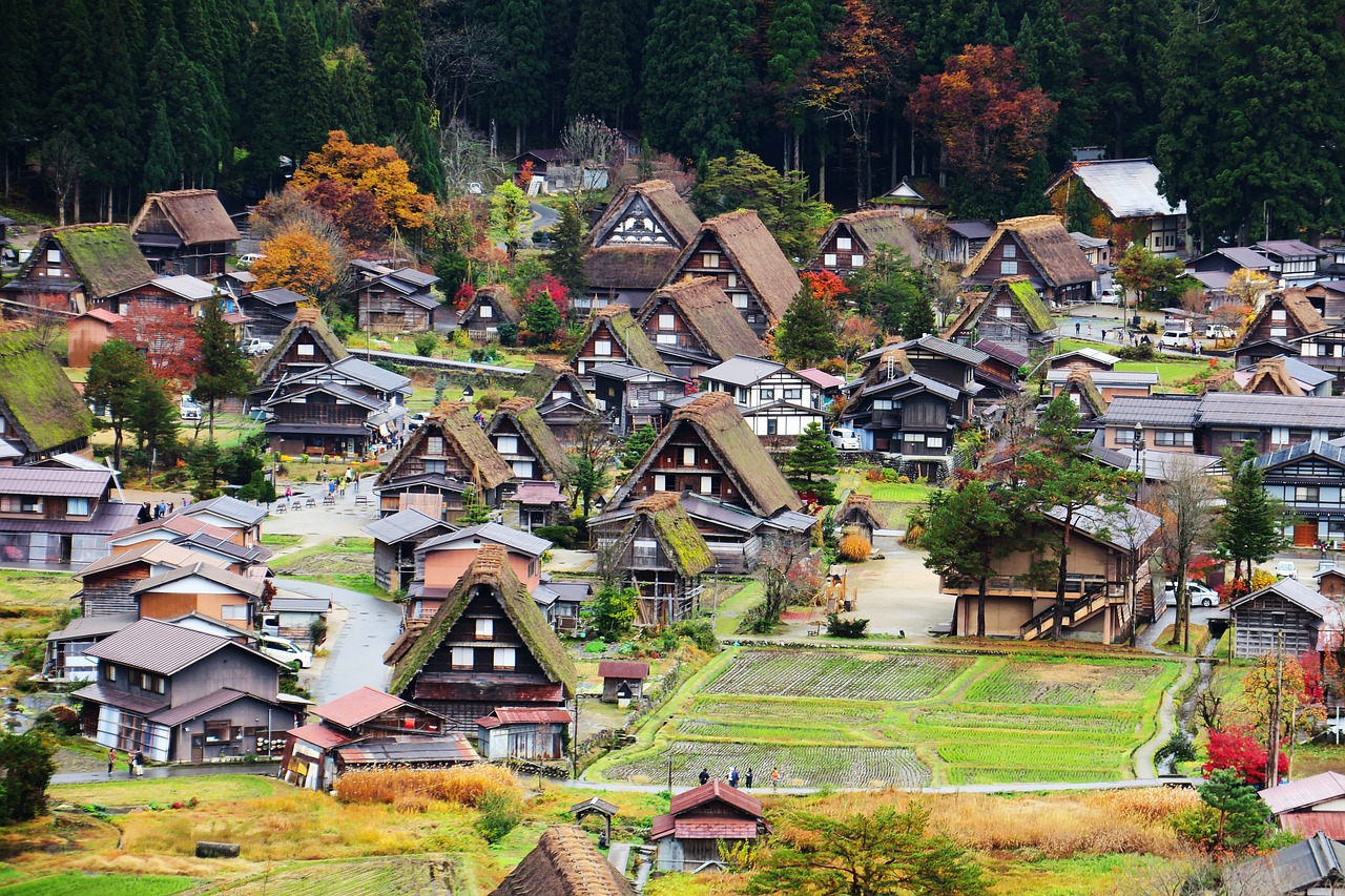 彼らが成長するためには、彼らの心が発達しなければなりません。